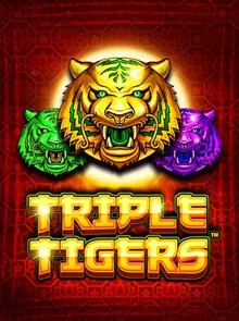 Triple Tigers